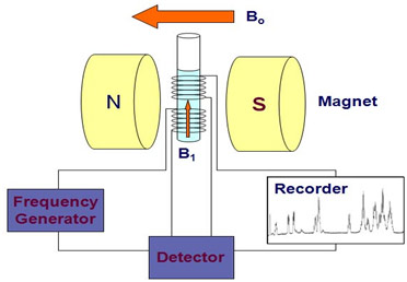 NMR apparatus
